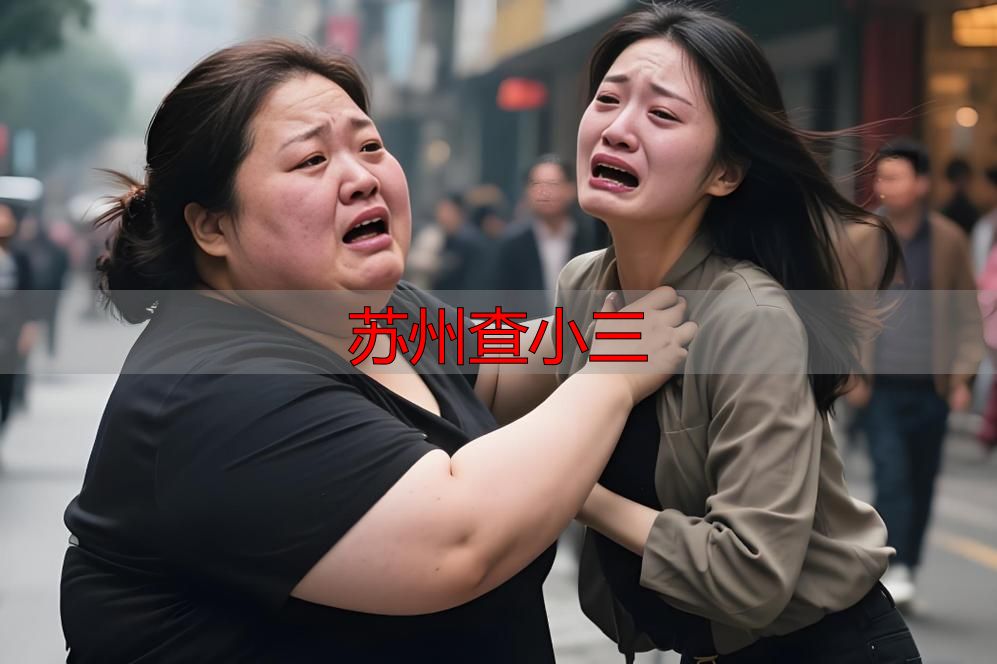 苏州查小三