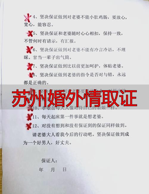 苏州婚外情取证