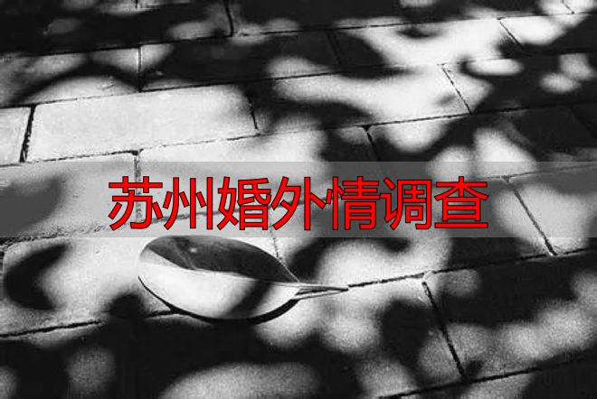苏州婚外情调查