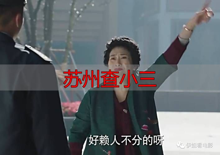 苏州查小三
