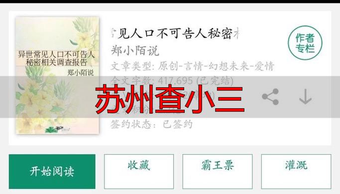 苏州查小三
