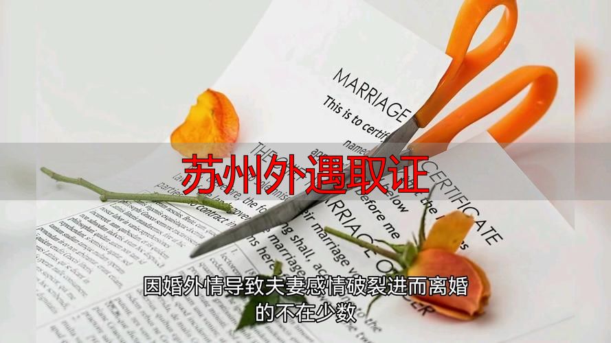 苏州外遇取证