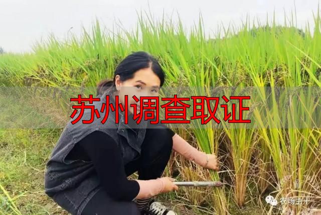 苏州调查取证