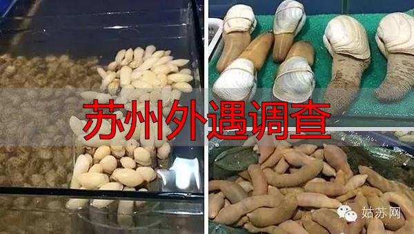 苏州外遇调查
