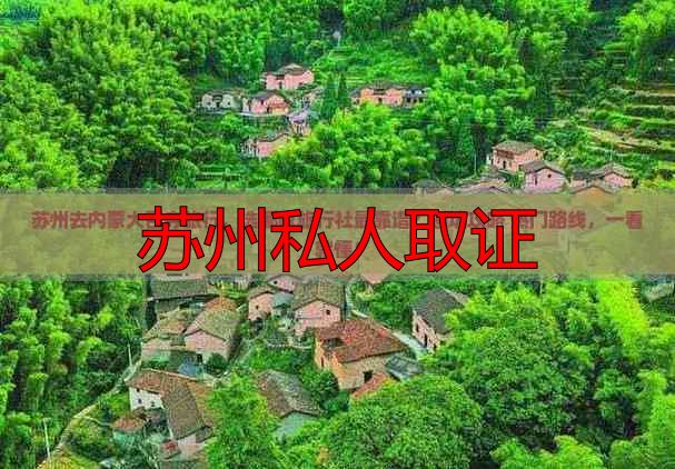 苏州私人取证
