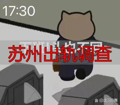 苏州出轨调查