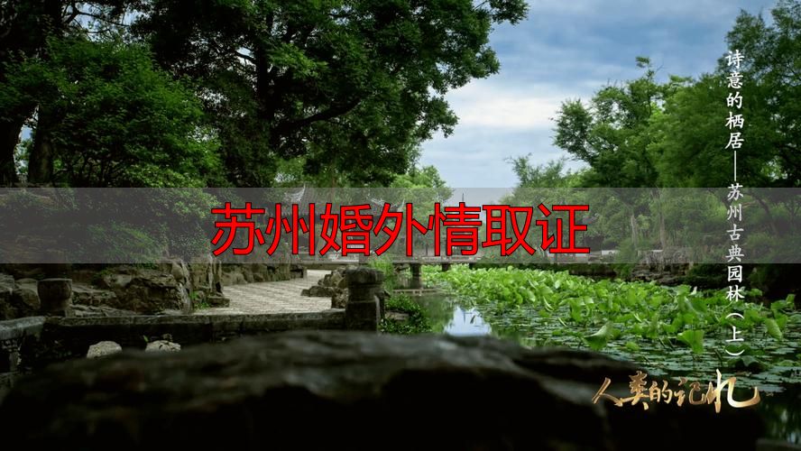 苏州婚外情取证
