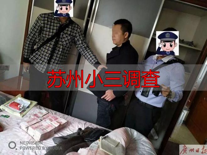 苏州小三调查