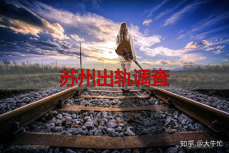 苏州出轨调查