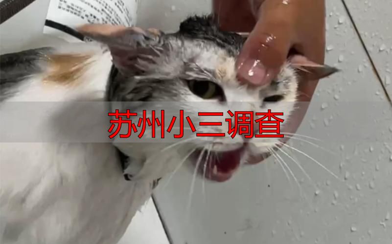 苏州小三调查