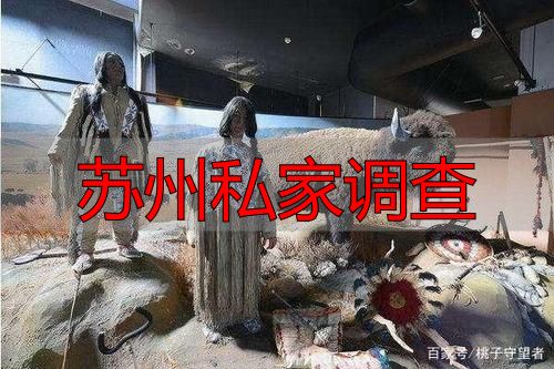苏州私家调查