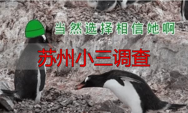 苏州小三调查