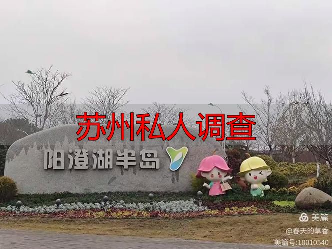 苏州私人调查