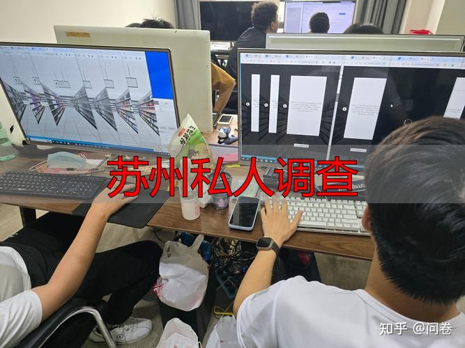 苏州私人调查