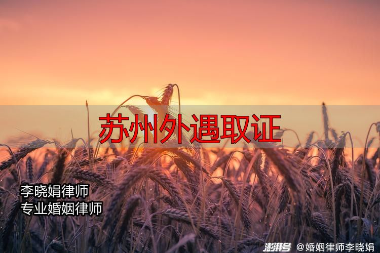 苏州外遇取证