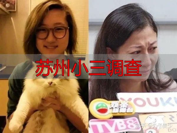 苏州小三调查