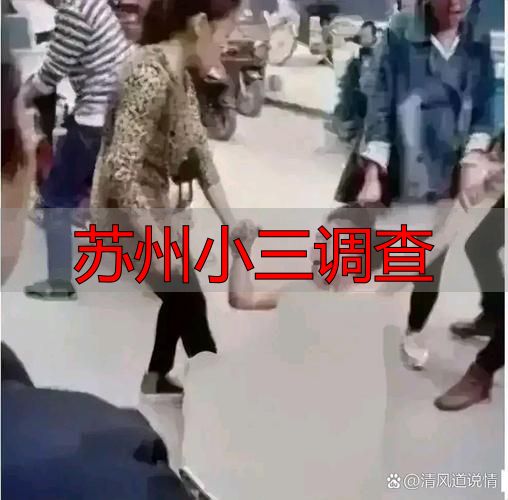 苏州小三调查