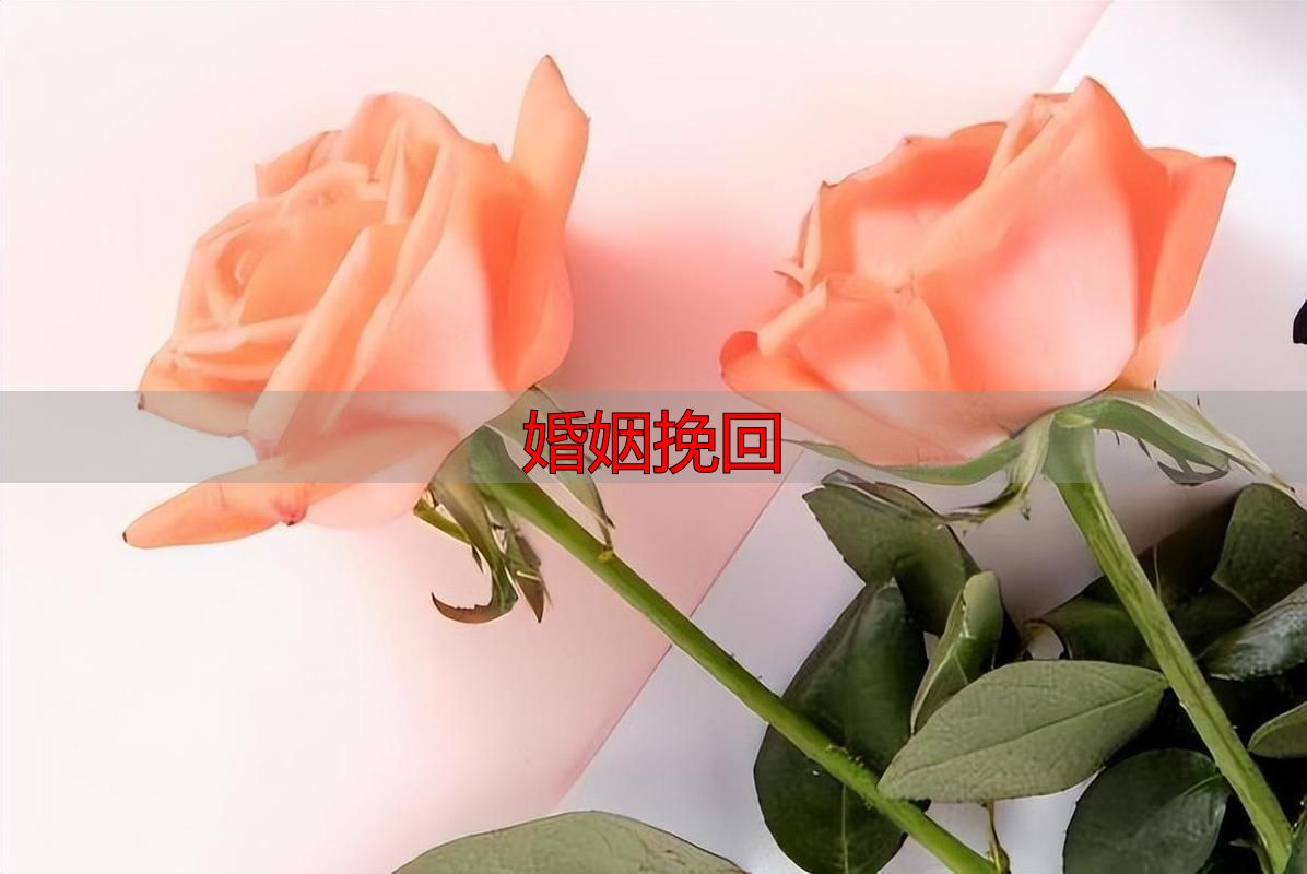 婚姻挽回