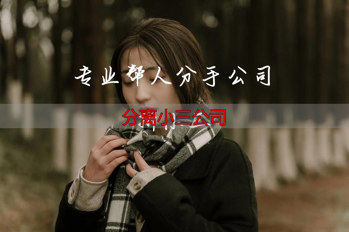分离小三公司