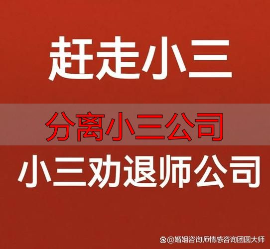 分离小三公司