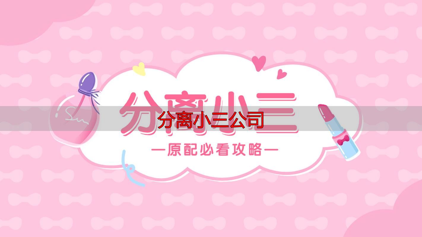 分离小三公司