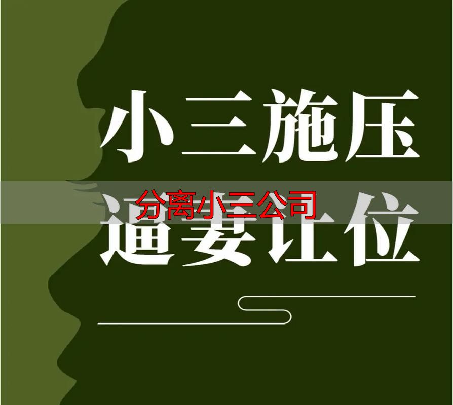 分离小三公司