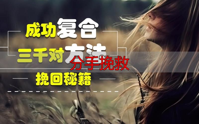 分手挽救