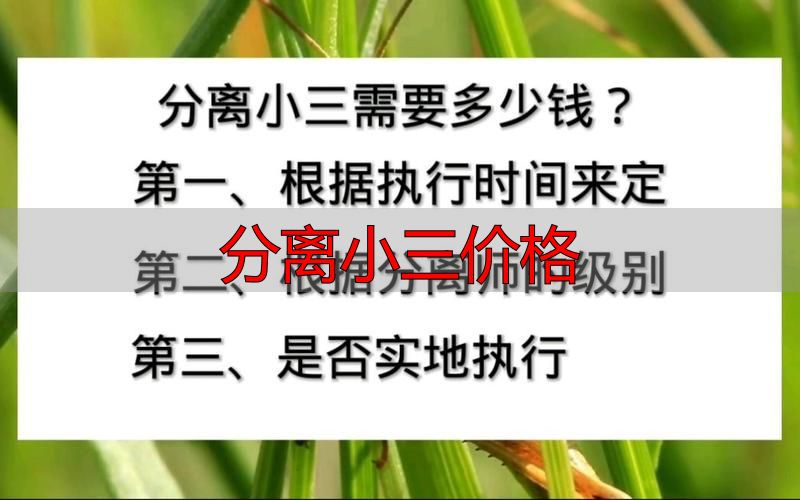 分离小三价格