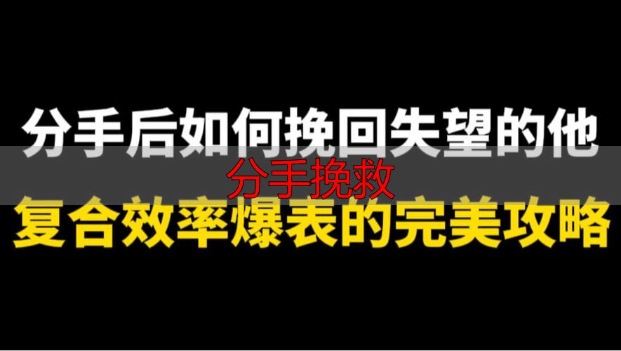 分手挽救