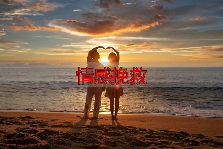 情感挽救