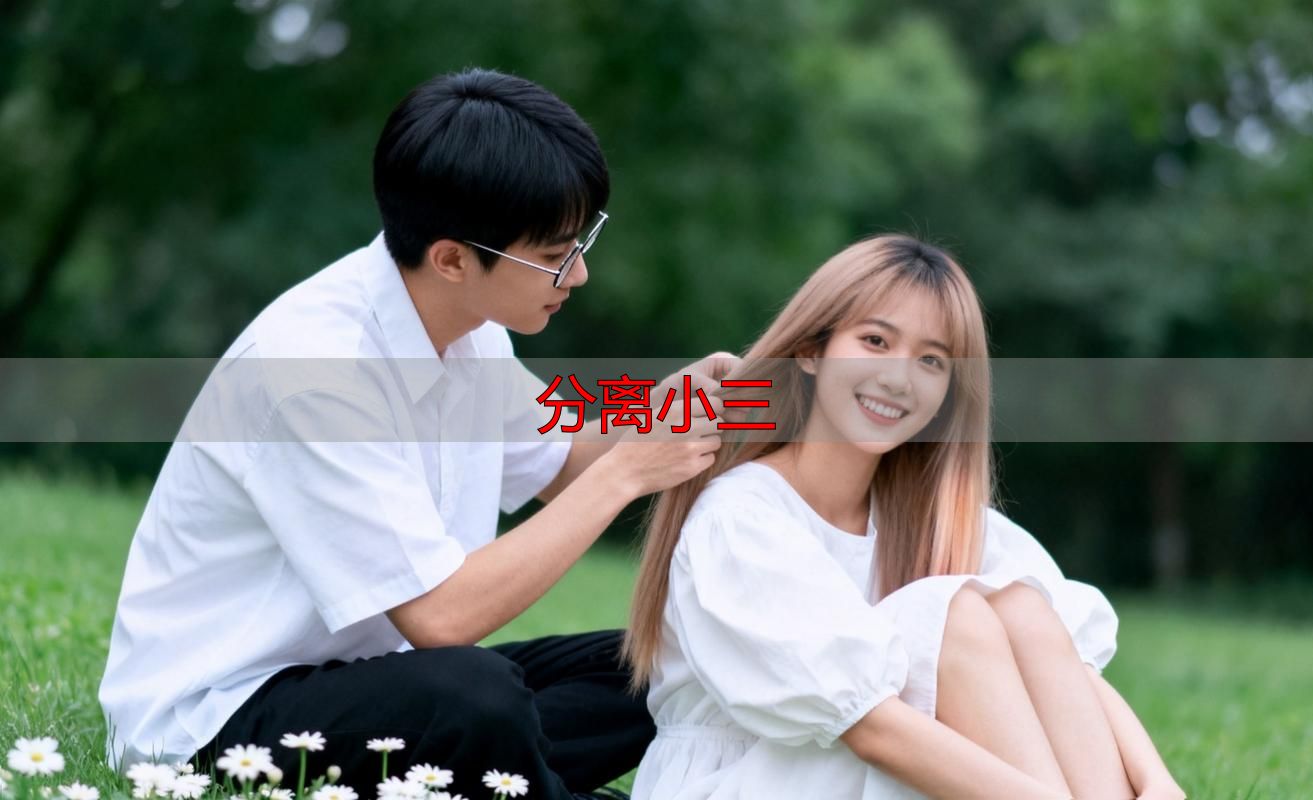 分离小三