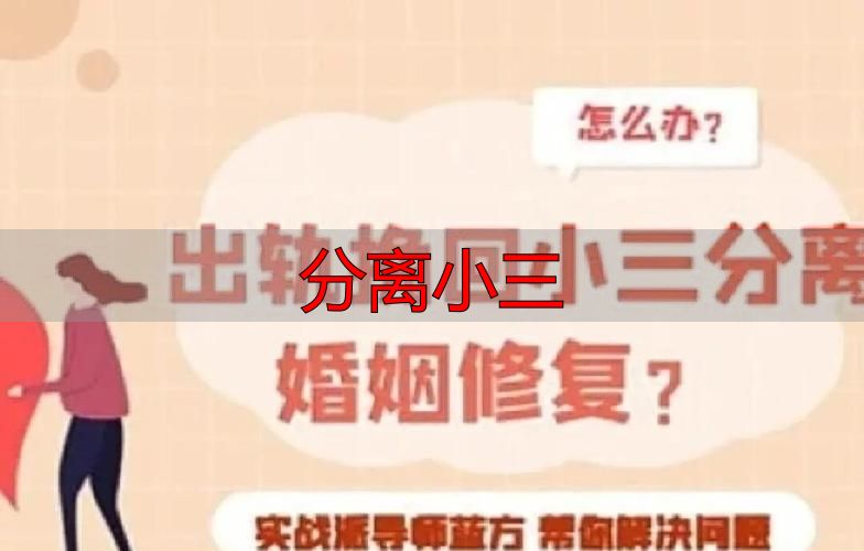 分离小三
