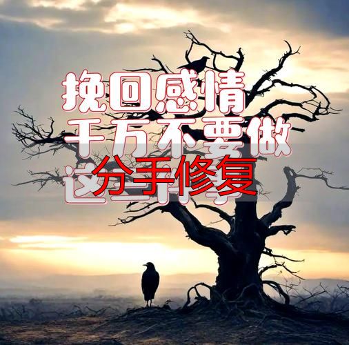 分手修复