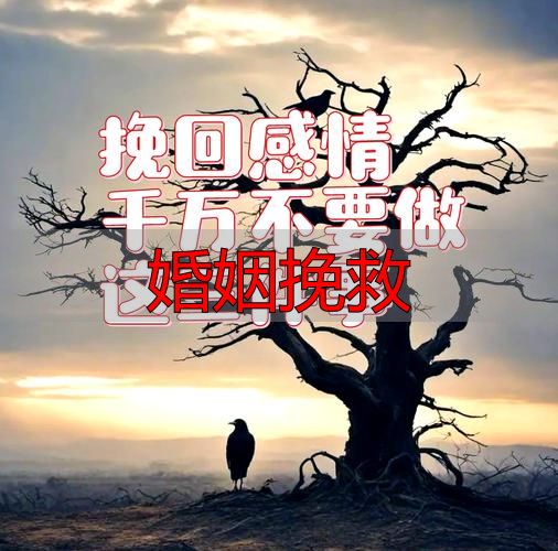 婚姻挽救