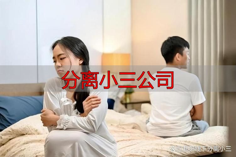 分离小三公司