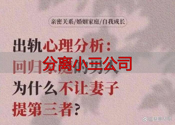 分离小三公司