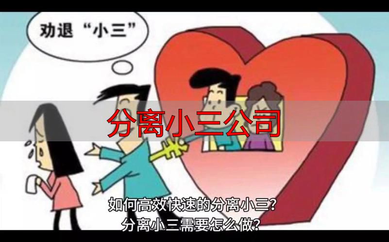 分离小三公司