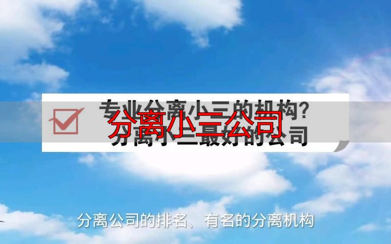 分离小三公司