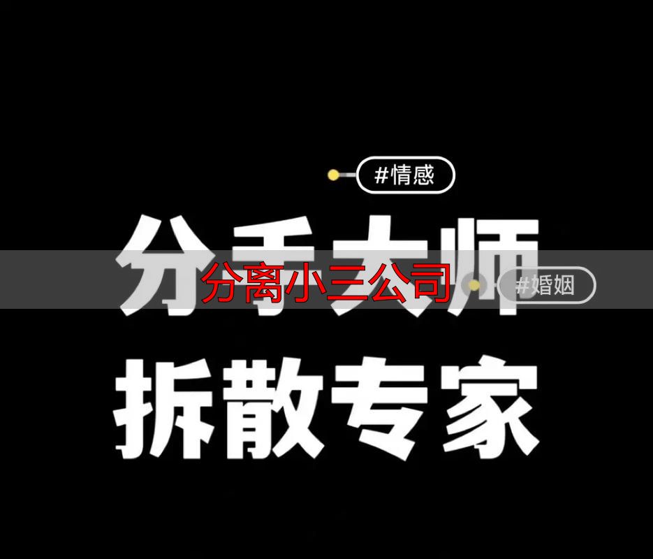 分离小三公司