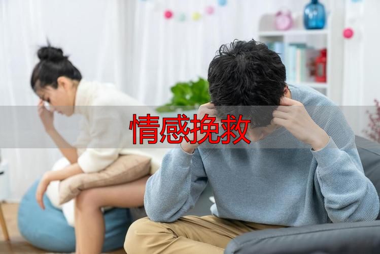 情感挽救