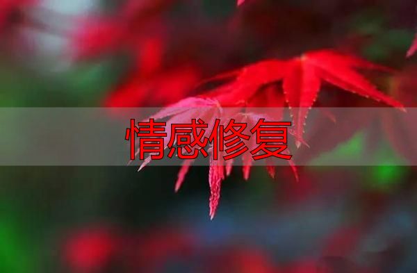 情感修复