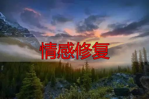 情感修复