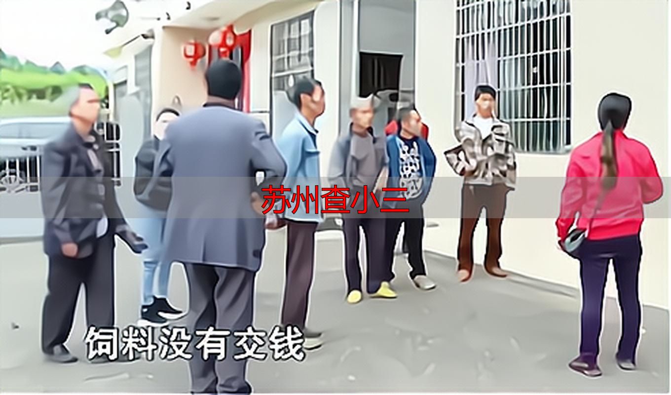 苏州查小三