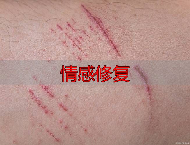 情感修复