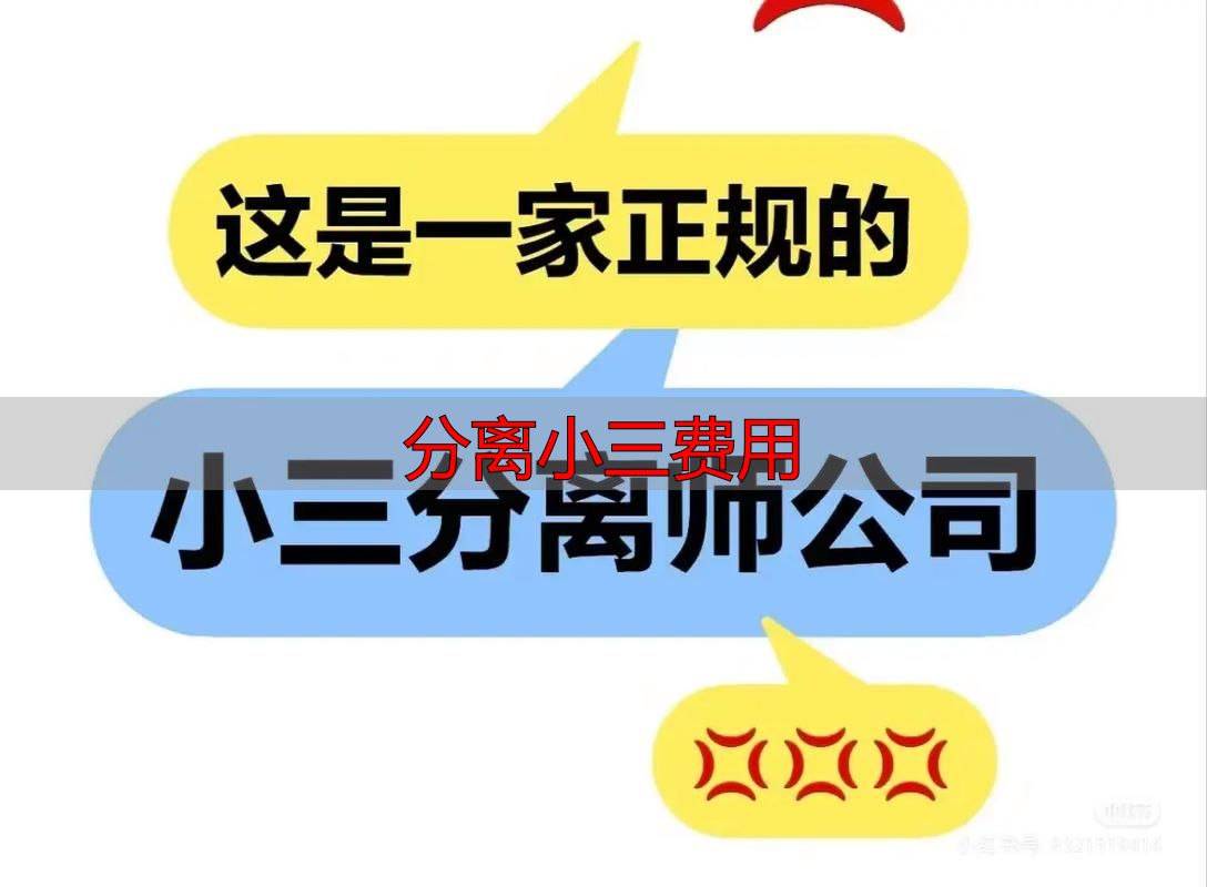 分离小三费用