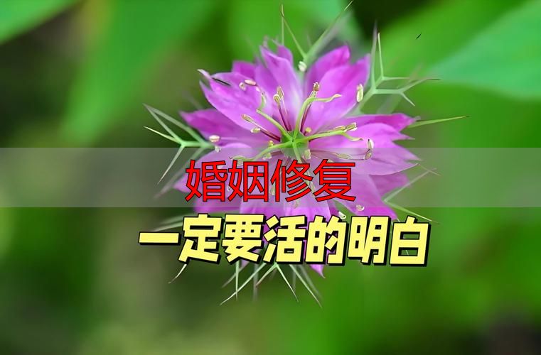 婚姻修复
