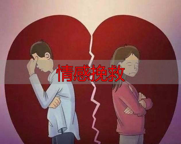 情感挽救