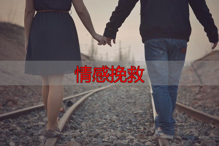 情感挽救