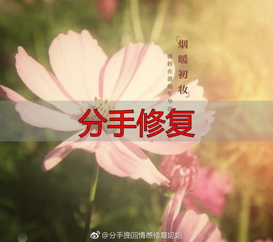 分手修复
