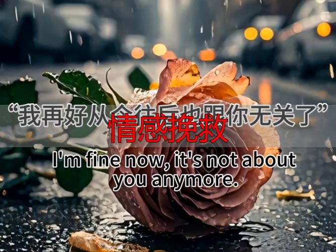 情感挽救